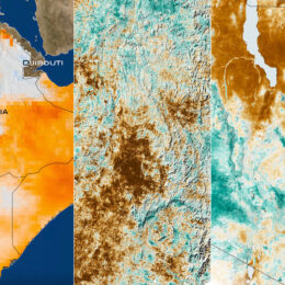 A collage of maps showing soil moisture and Normalized Difference Vegetation Index (NDVI) data for Ethiopia, Somalia, Kenya, and Madagascar