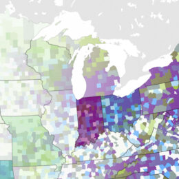 Composite map showing an abstract representation of campground data by county and state.