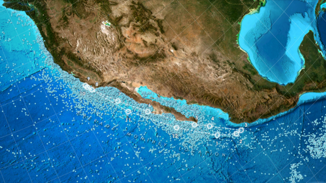 Map of Pacific Ocean off the coast of North America showing blue whale observations.