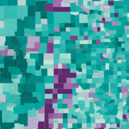 Map of central US showing share of citizen voting age population by county.