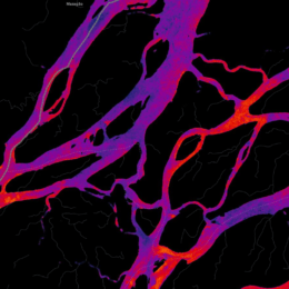 Colorized SAR image of river deltas in Amazon rainforest.