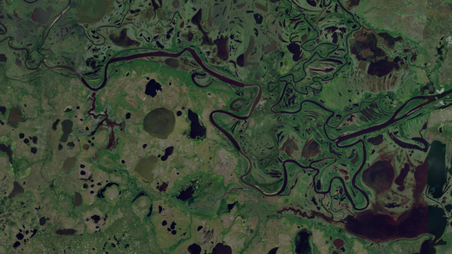 Image of wetlands in Northern Russia