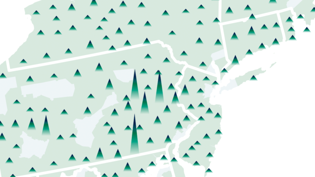 A close-up map of commercial Christmas tree production in the northeastern U.S.