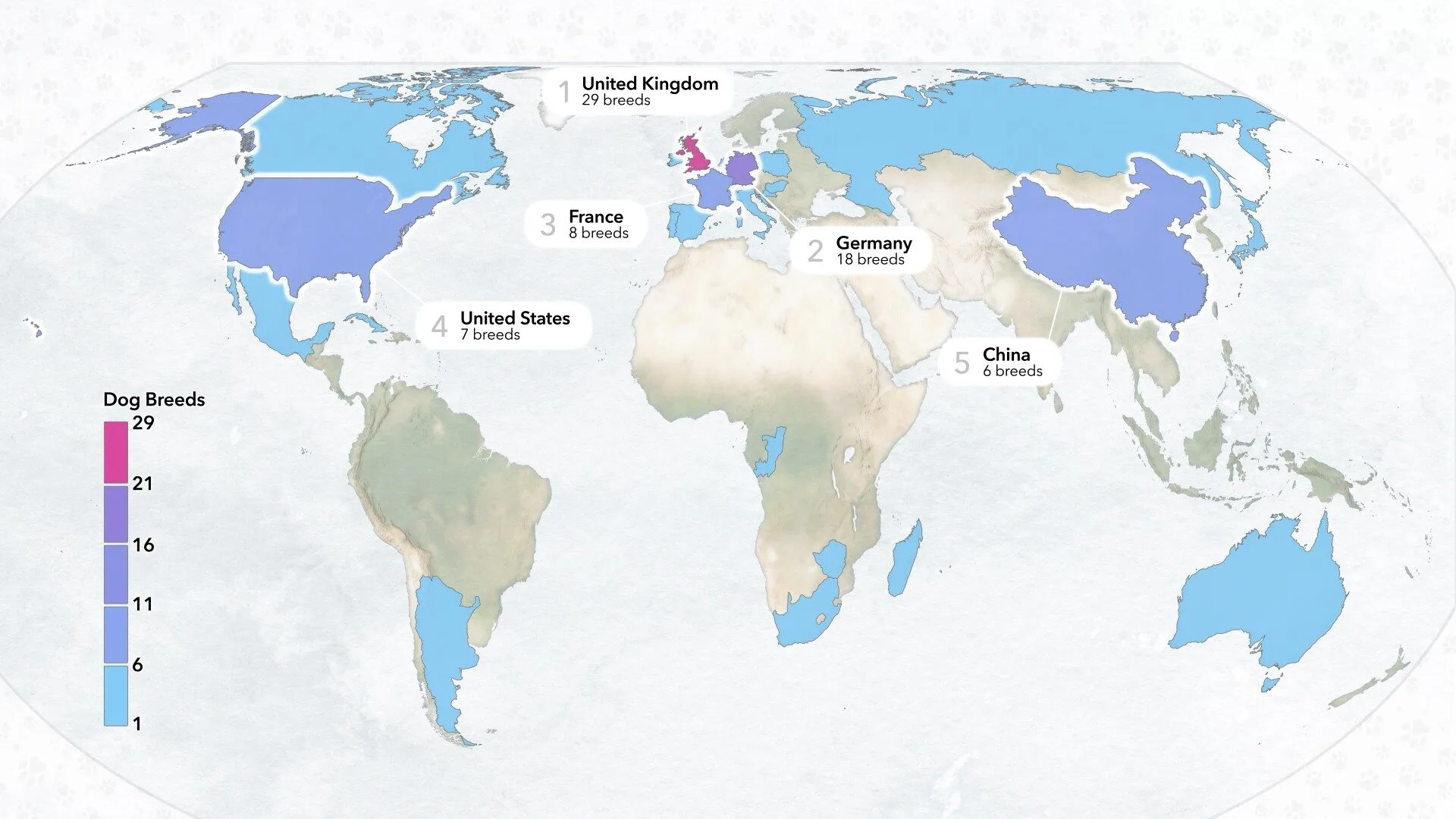Choropleth map showing the origins of the 101 most popular dog breeds by country.