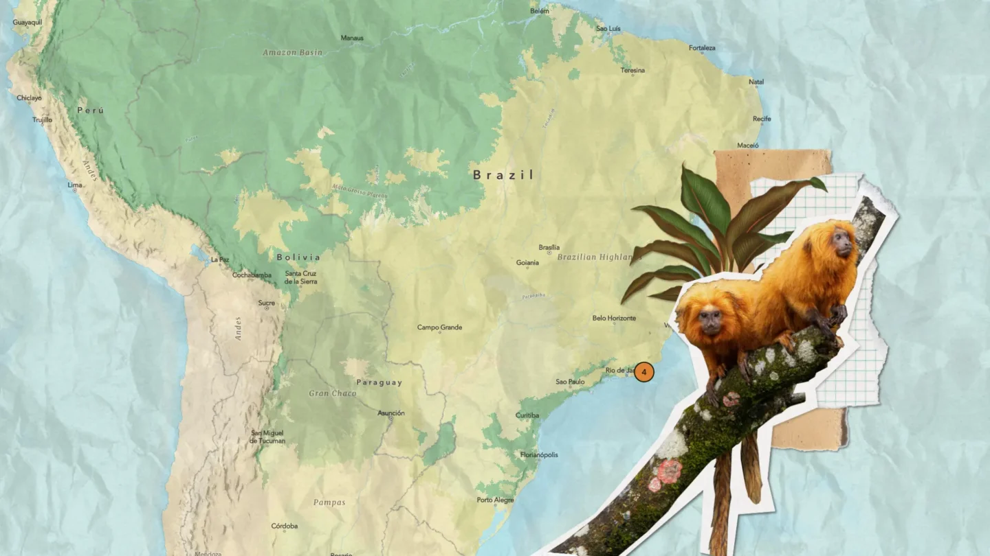 Map of South America showing endemic species.