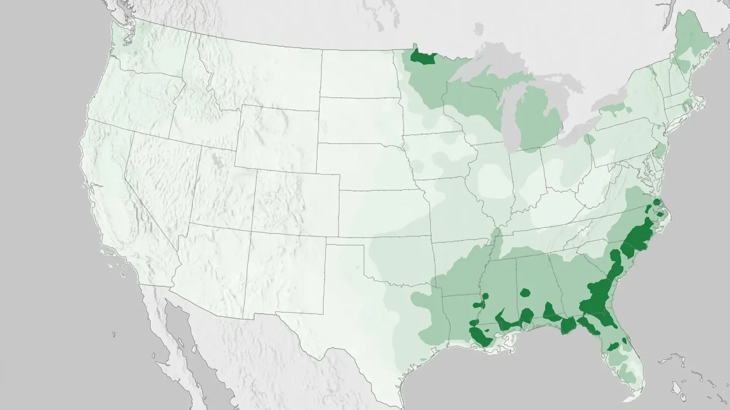 Map showing location and density of forested freshwater wetlands in the US.
