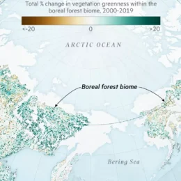 Research suggests boreal forests are moving north.