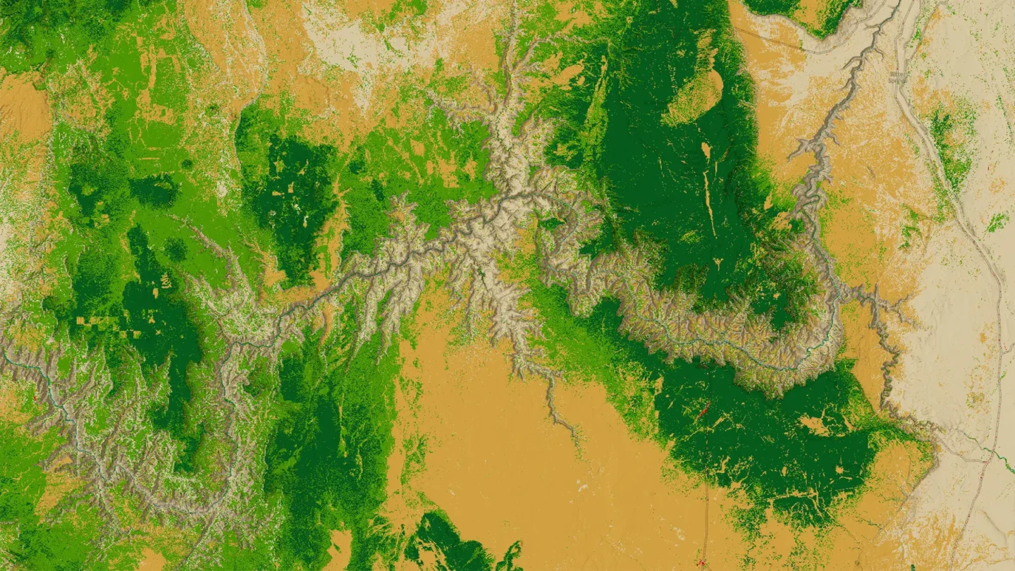 Grand canyon gallery  land cover