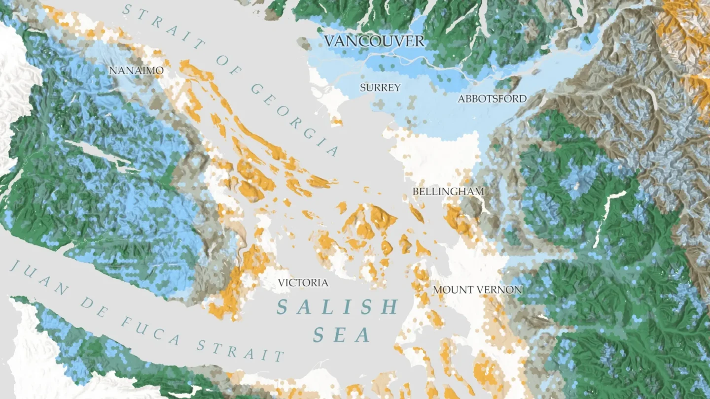 Jet streams, topography, and rainfall can influence tree canopy height.